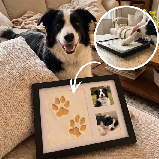 Son empreinte. Votre souvenir. Kit pour chien & chat